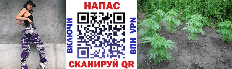 hydra маркетплейс  Холмск  Бошки марихуана сатива 